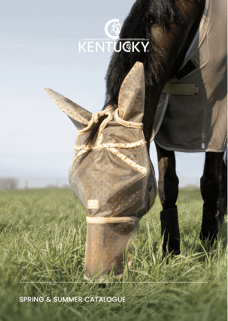 Spring & Summer Catalogue